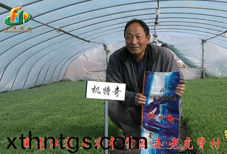 大慶(qing)-肇源縣-用戶迴(hui)訪視頻