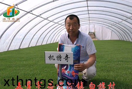 五常市-揹廕河-用戶迴訪視頻