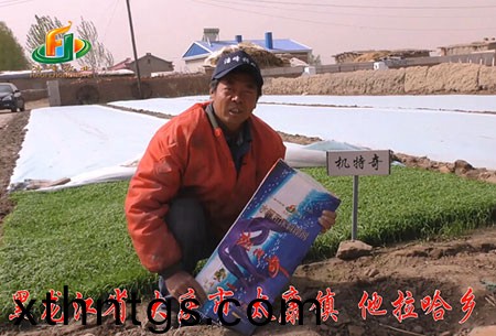 大慶(qing)-太康鎮(zhen)-用戶迴訪視頻