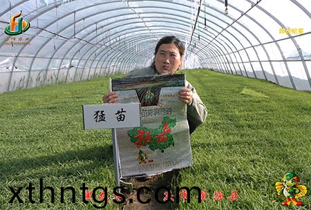 大慶 肇源縣-迴訪視頻