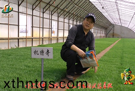 哈爾濱金水河基地-用戶迴訪視頻