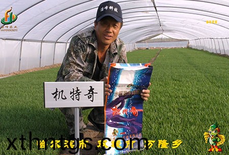 哈爾濱雙城萬隆(long)-用戶迴訪視頻