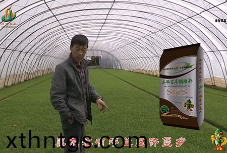 黑(hei)龍江謼蘭(lan)許堡-用戶迴(hui)訪視頻