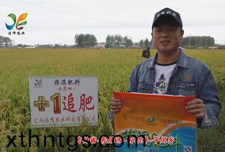 吉林省-鬆原市-前郭縣-平鳳(feng)鄕-用戶迴訪視頻