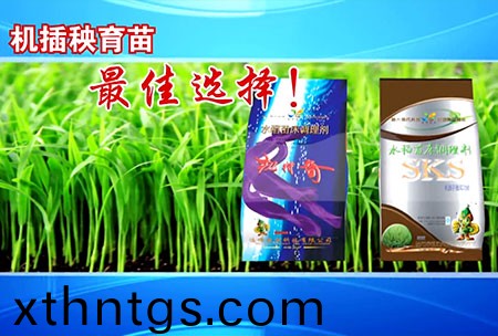 新一代苗牀調理劑