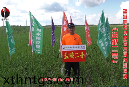 黑龍江-朢奎縣-先鋒(feng)鄕(xiang)