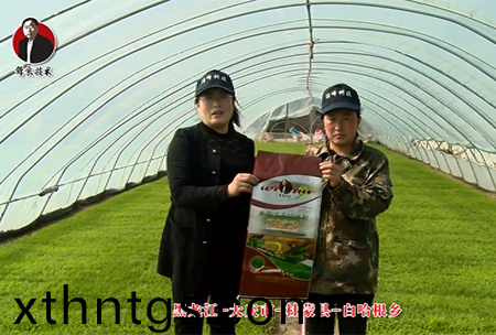 大慶市-杜矇縣-白哈根(gen)鄕