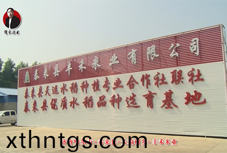 泰來縣(xian)-大榆樹鄕-豐禾(he)米業