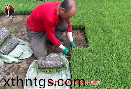 綏稜-四(si)海店鎮