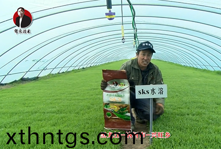 黑龍江 訥(ne)河市 興旺鄕