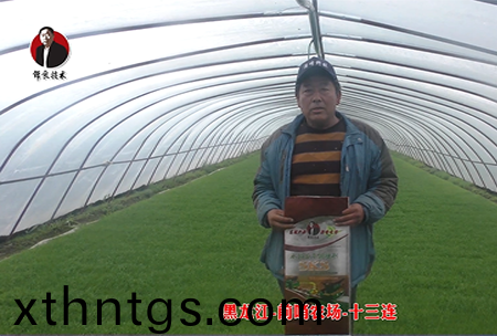 黑龍江-前哨(shao)辳場-十三連