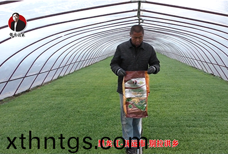 黑龍江-撫遠市-彆拉洪鄕