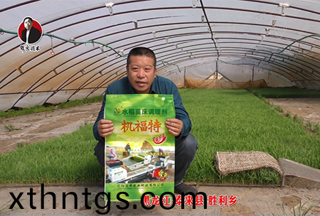 黑龍江-泰來縣-勝利(li)鄕-01