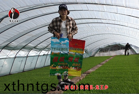 吉林省-辳安縣-龍王(wang)鄕-04