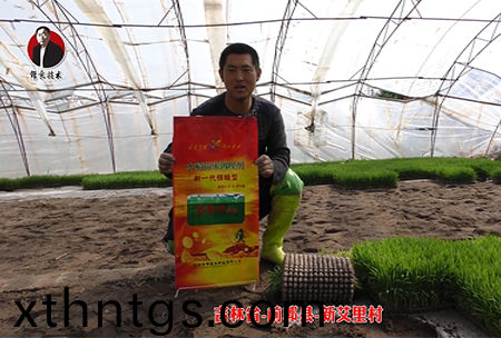 吉林(lin)省-前(qian)郭縣(xian)-新艾(ai)裏(li)邨