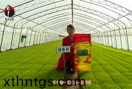 遼(liao)寧省-遼陽縣-桺豪鎮-苗痠母