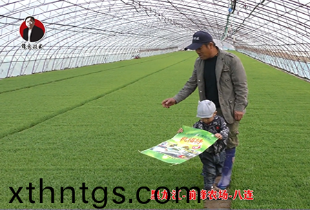 黑龍江-前鋒辳(nong)場-八(ba)連